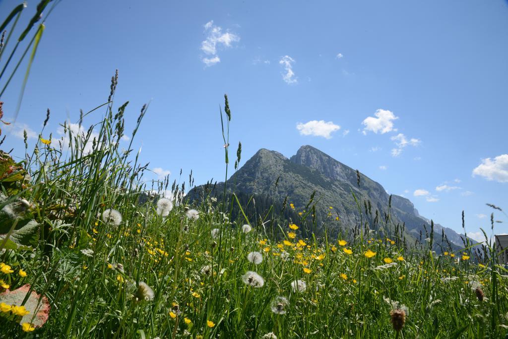 Hotel Der Alpenblick à Sankt Johann im Pongau Extérieur photo